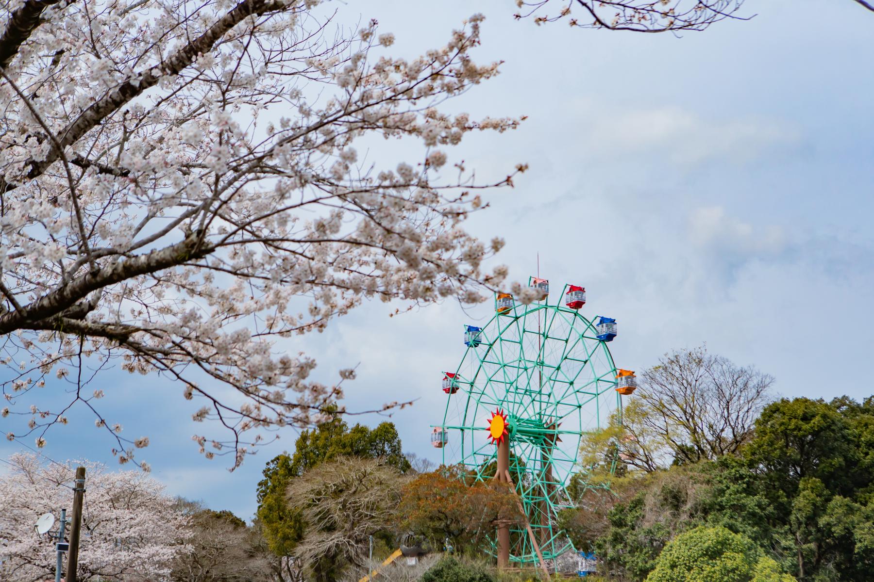 観音池公園-1