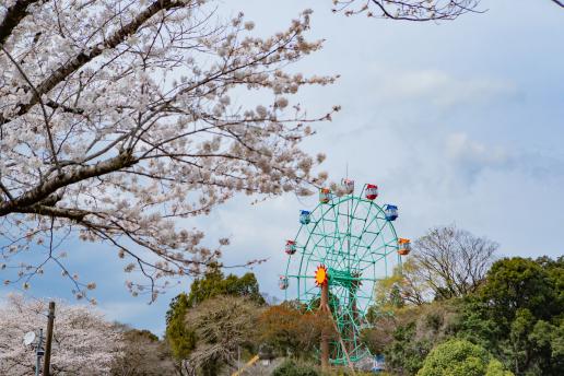 観音池公園-0