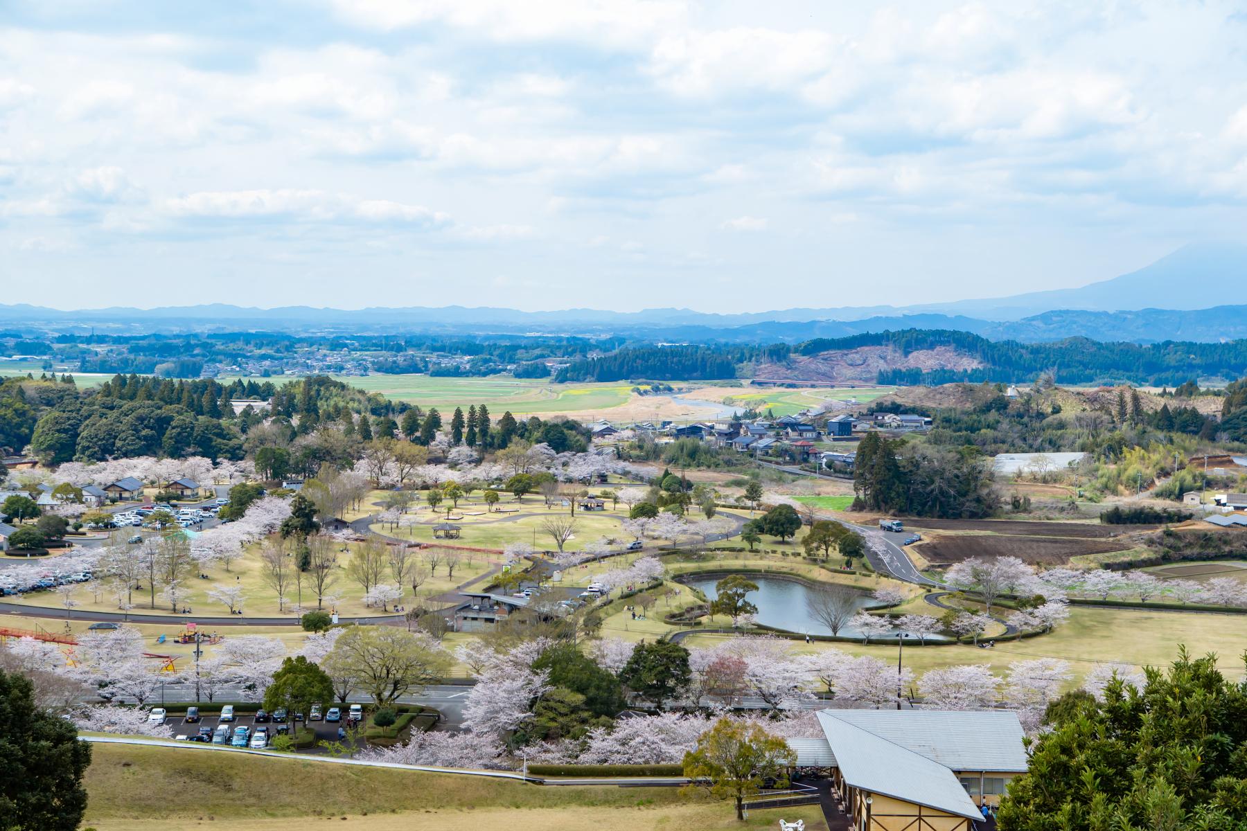 観音池公園-1