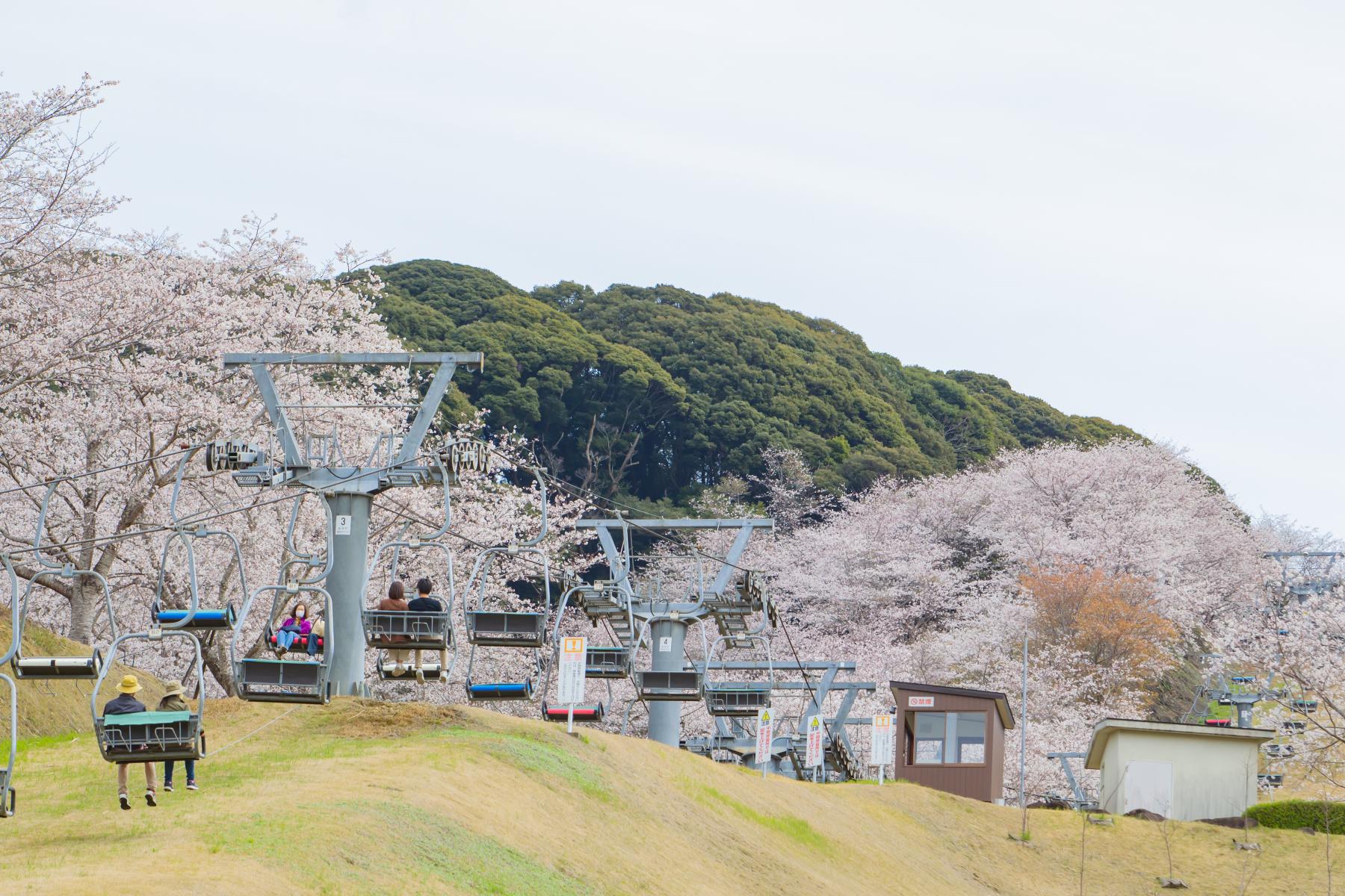 観音池公園-3