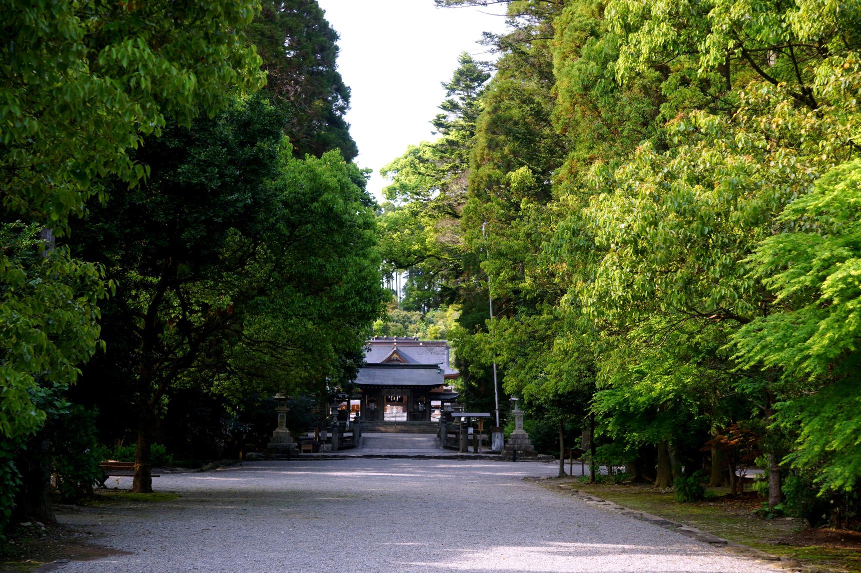 都農神社-5