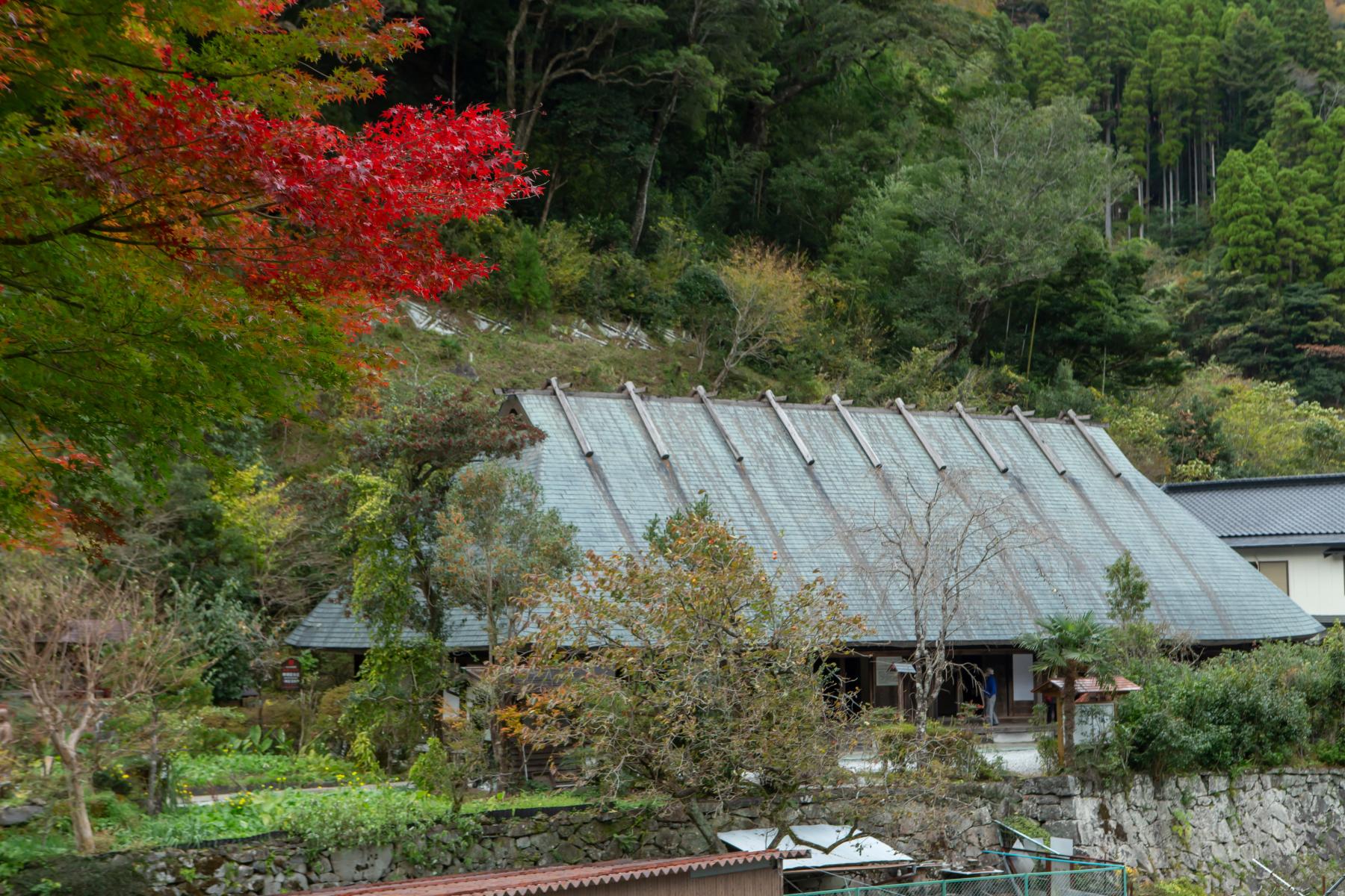  【1日目】鶴富屋敷 