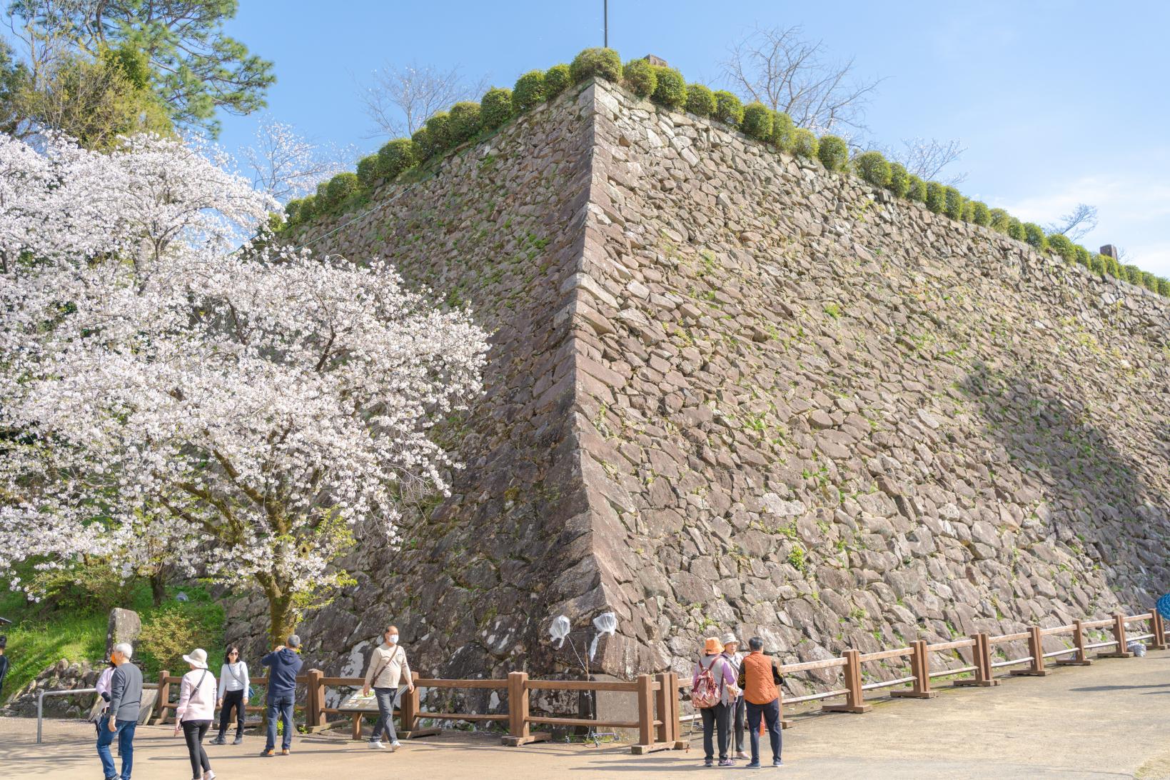  延岡城跡・城山公園 