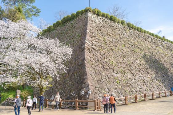 延岡城跡・城山公園-0