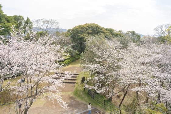 延岡城跡・城山公園-6