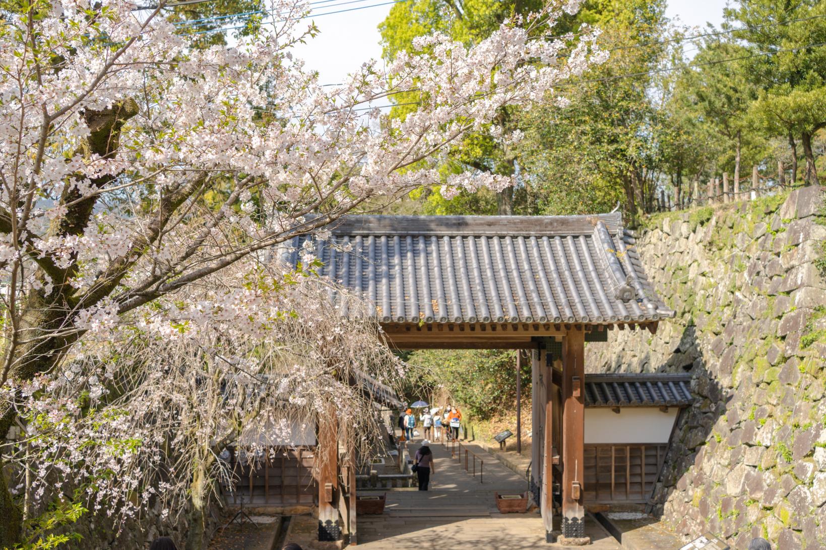 延岡城跡・城山公園-5