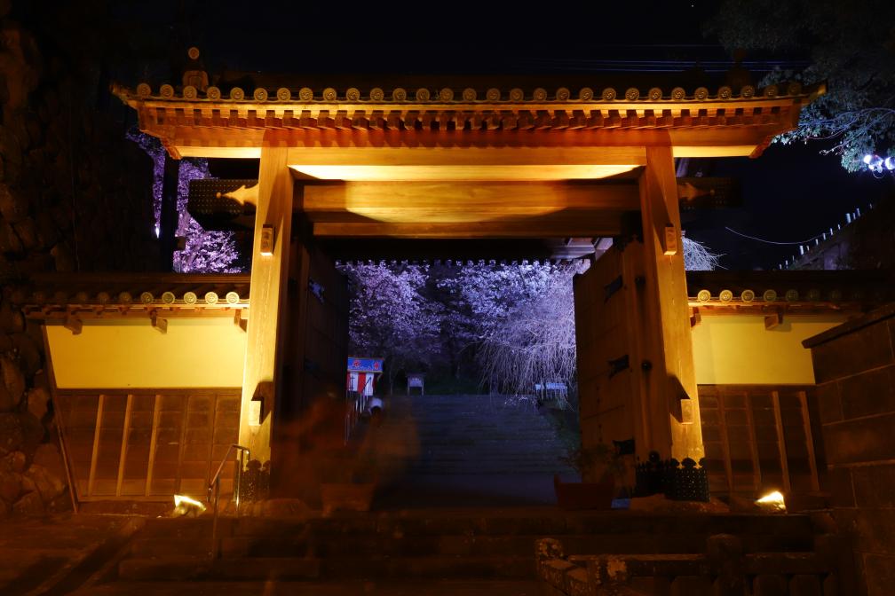 延岡城跡・城山公園 観光スポット 宮崎県公式観光サイト「みやざき観光ナビ」