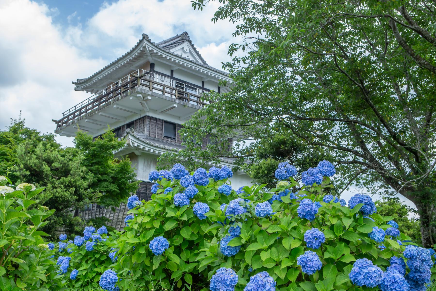 あじさい公園-0