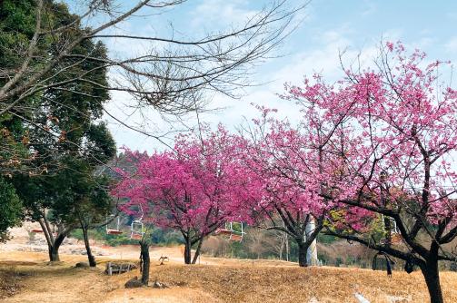 法華嶽公園-8