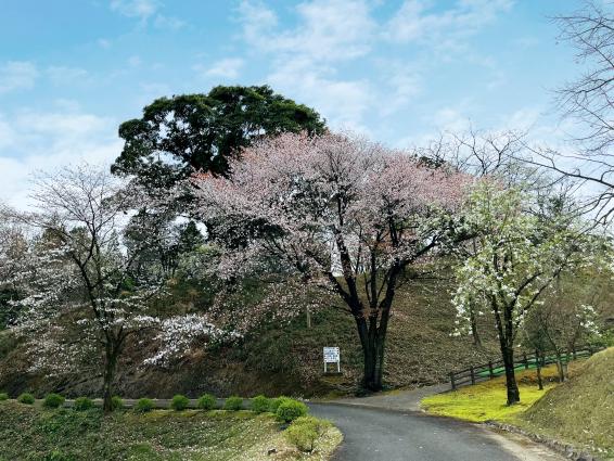 法華嶽公園-9