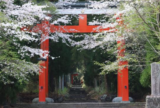 狭野神社-9