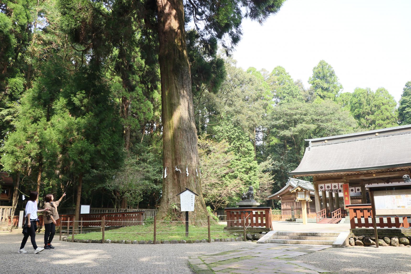 狭野神社-3