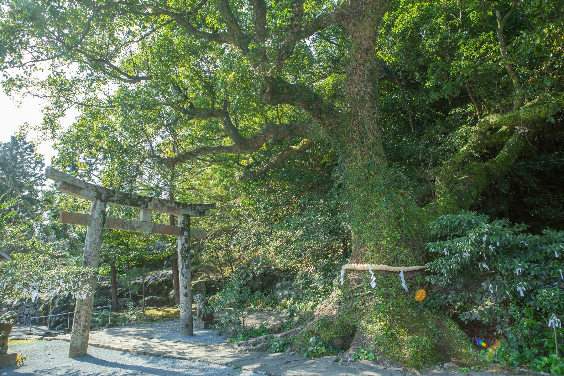 立磐神社-6