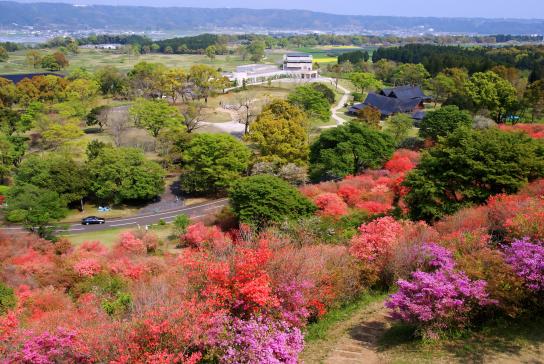 宮崎県立西都原考古博物館-6