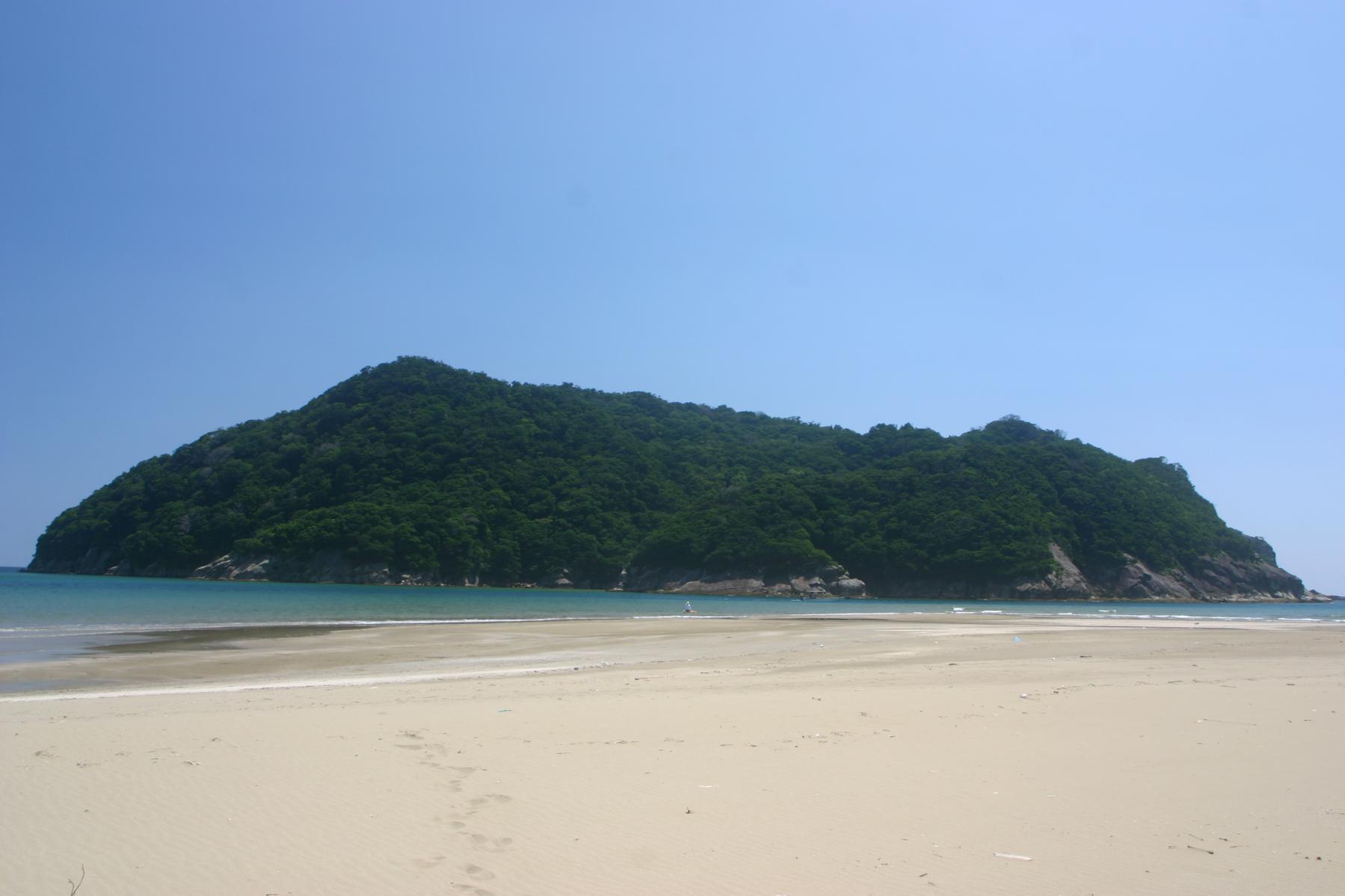 幸島-1