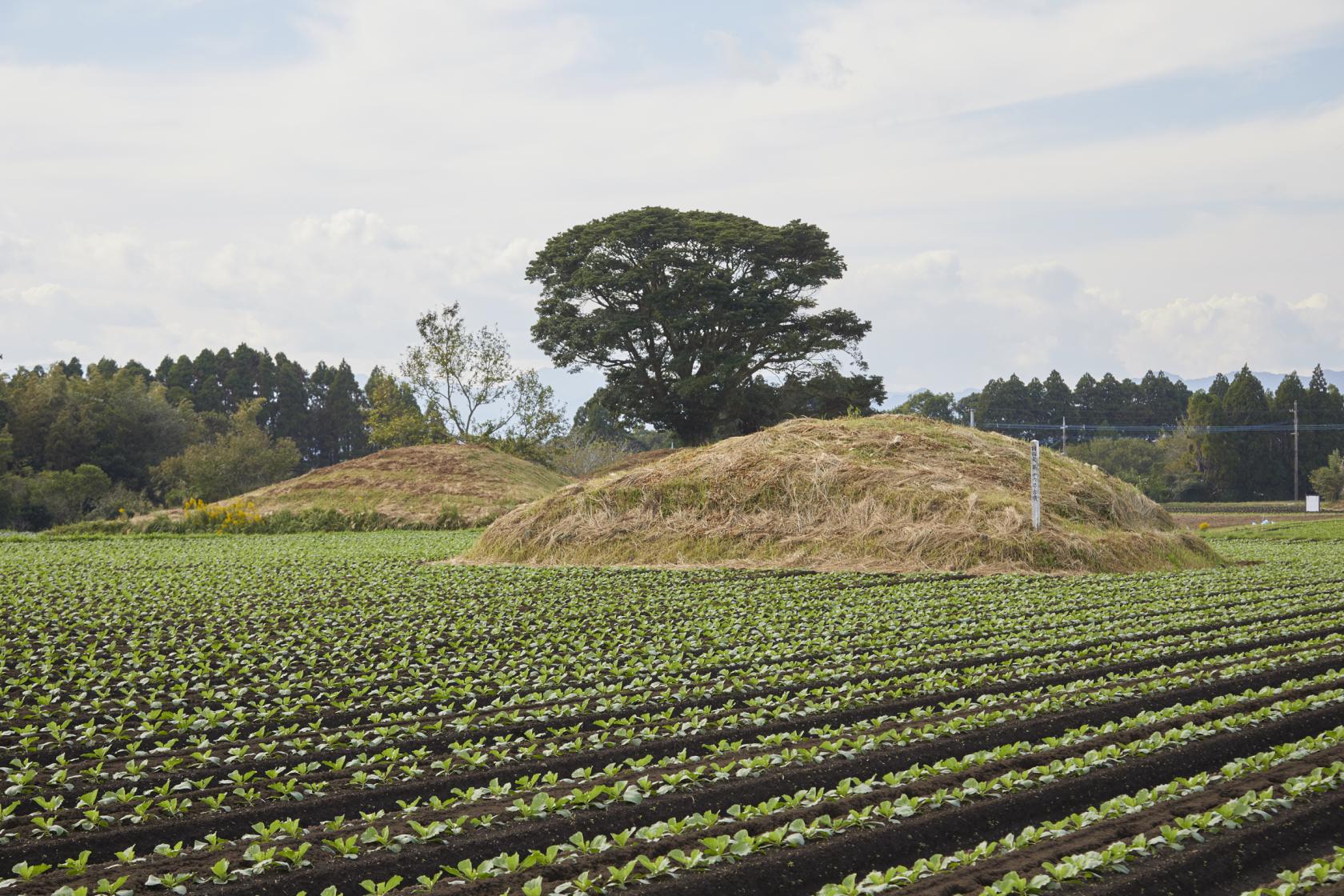 持田古墳群、高鍋大師-1