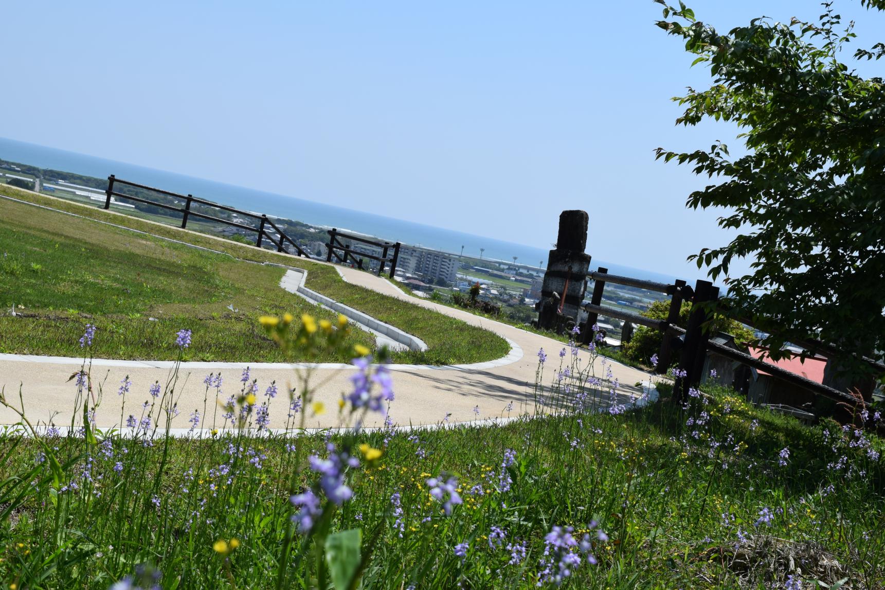 持田古墳群、高鍋大師-7