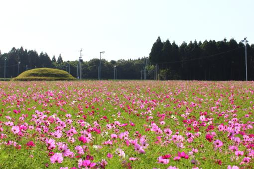 持田古墳群・高鍋大師-3