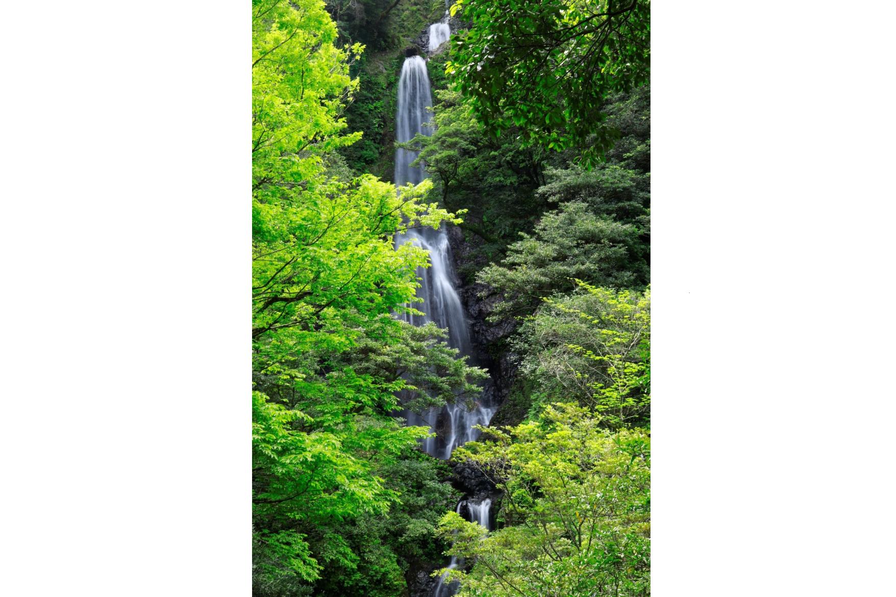 おせりの滝-4