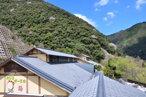 西米良温泉カリコボーズの湯ゆた～と-5