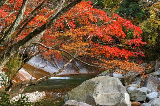 鹿川渓谷-5