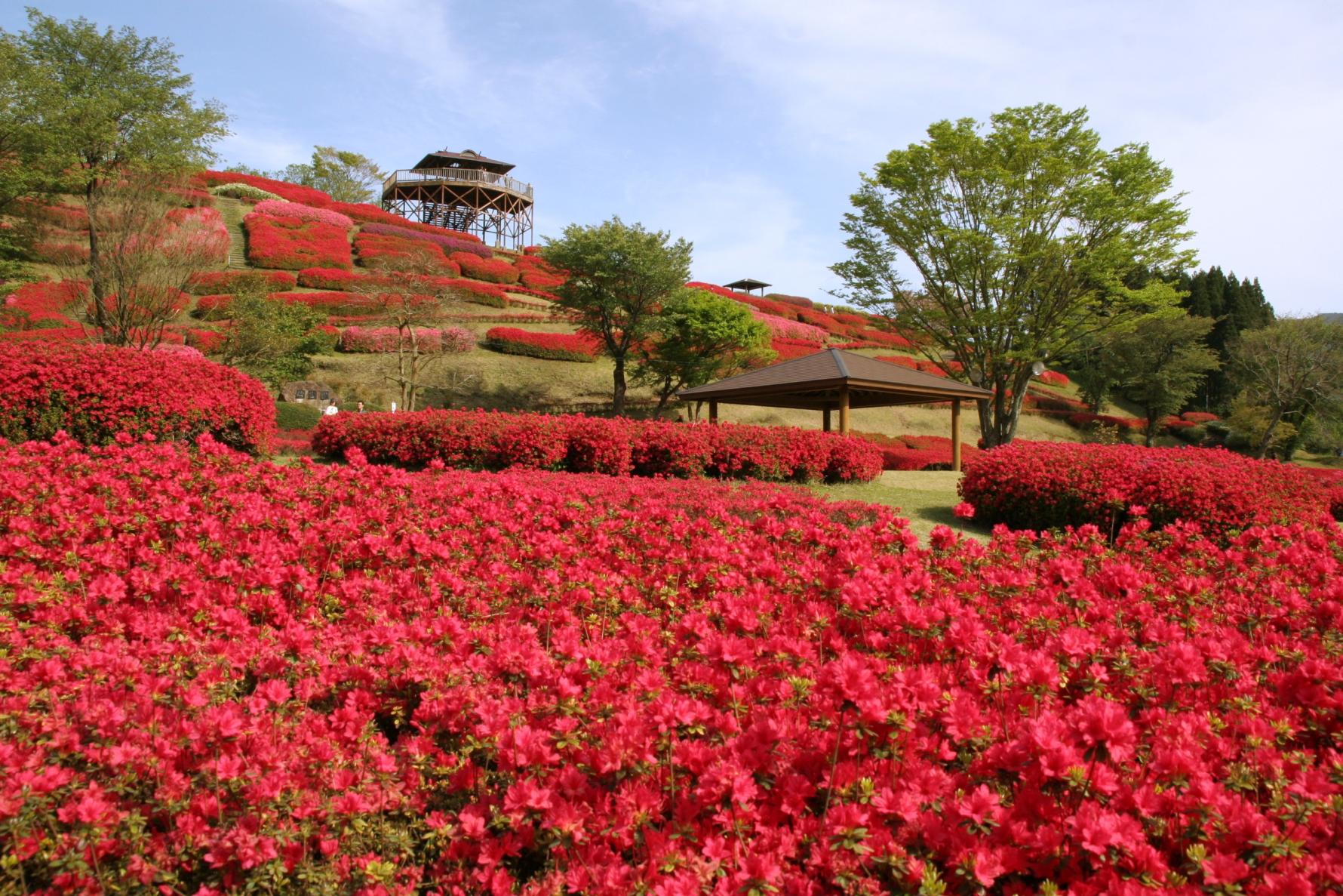 椎八重公園