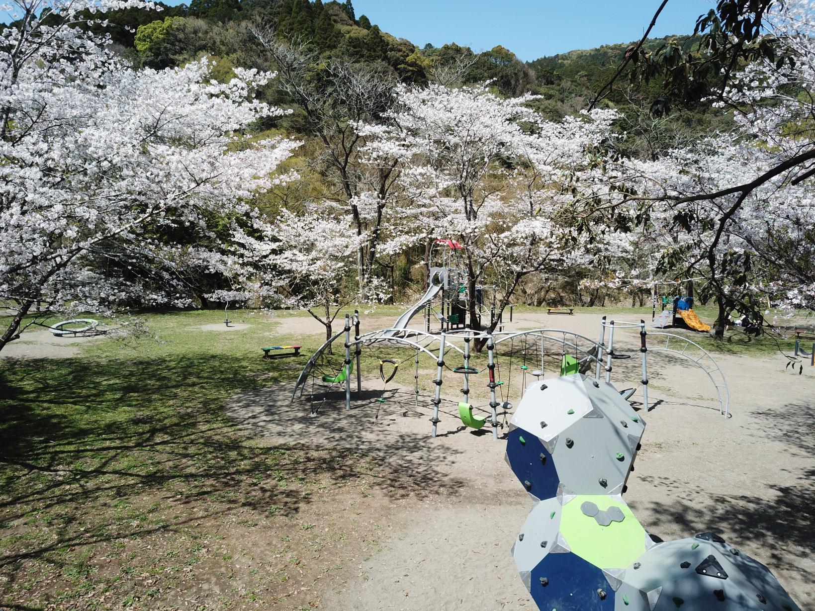 川原自然公園-3