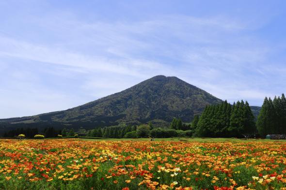 【終了】生駒高原はなフェスタ-1