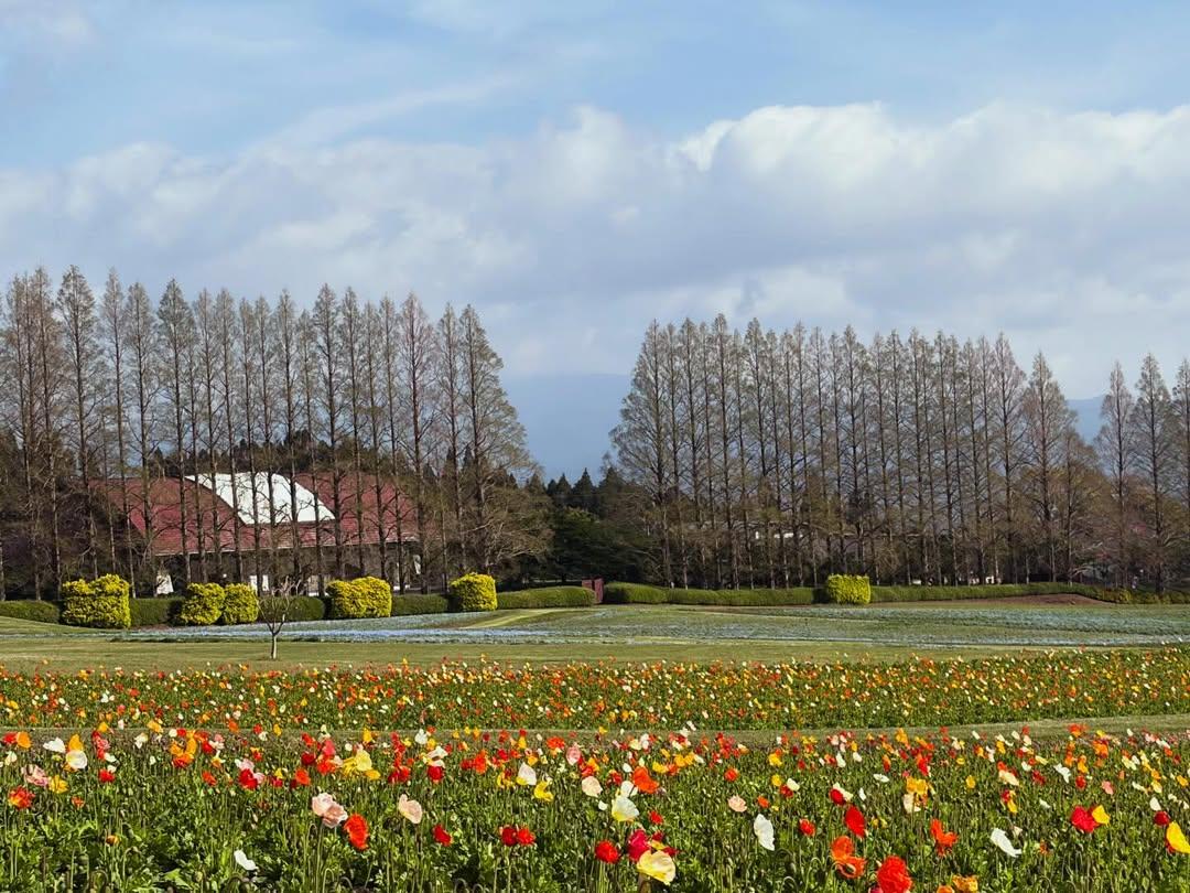 【2026】生駒高原はなフェスタ