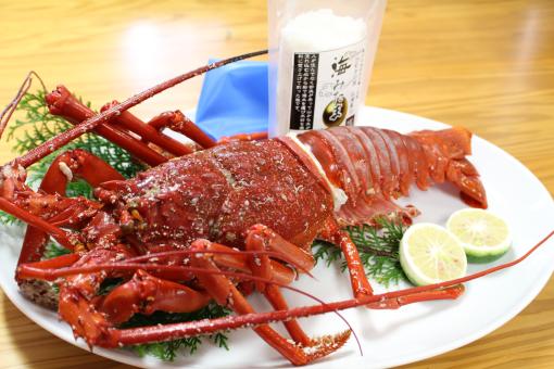 【終了】日南海岸伊勢えびまつり-1