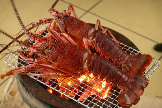 【～11/30】東九州伊勢えび海道　伊勢えび祭り-1