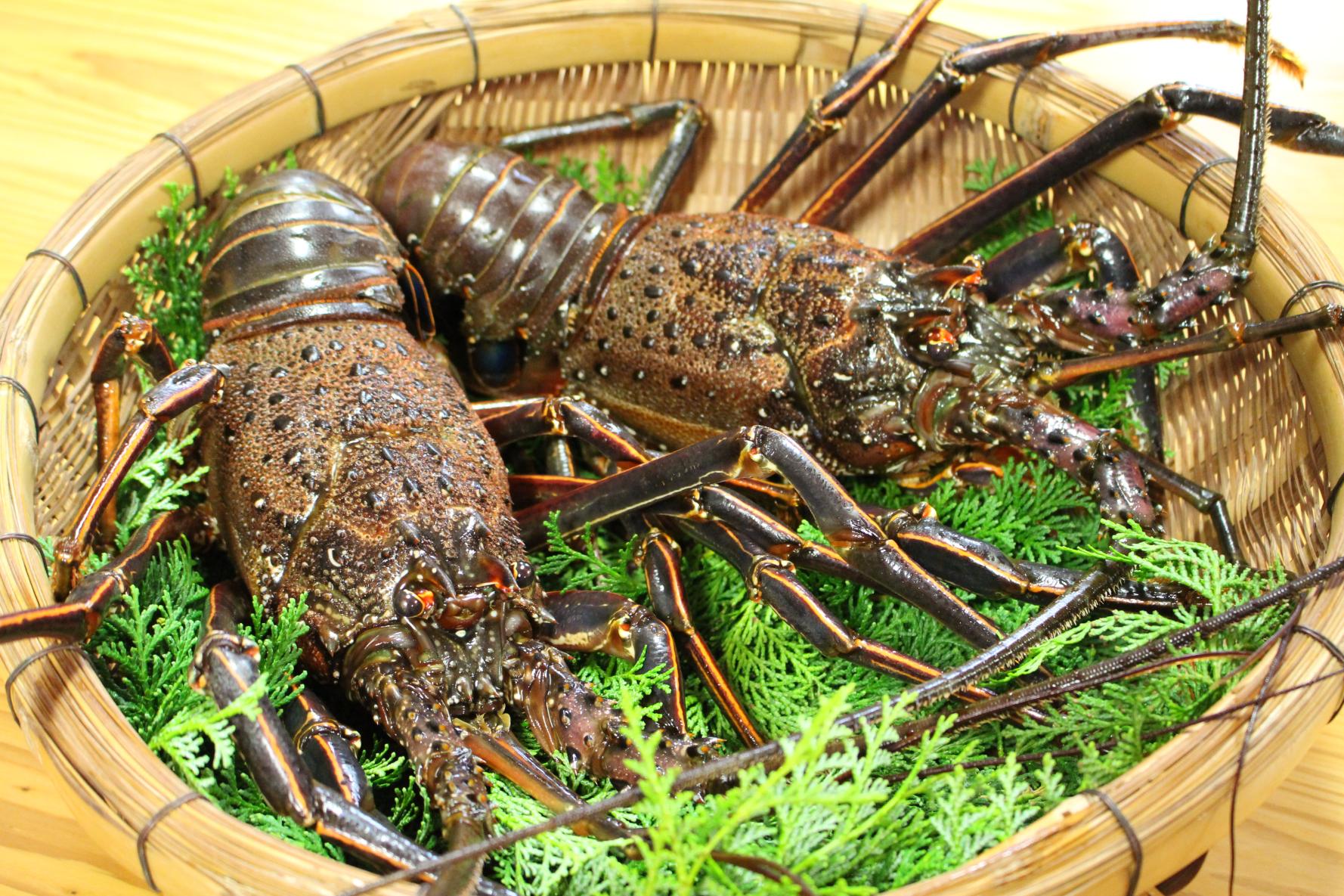 【～11/30】東九州伊勢えび海道　伊勢えび祭り-3
