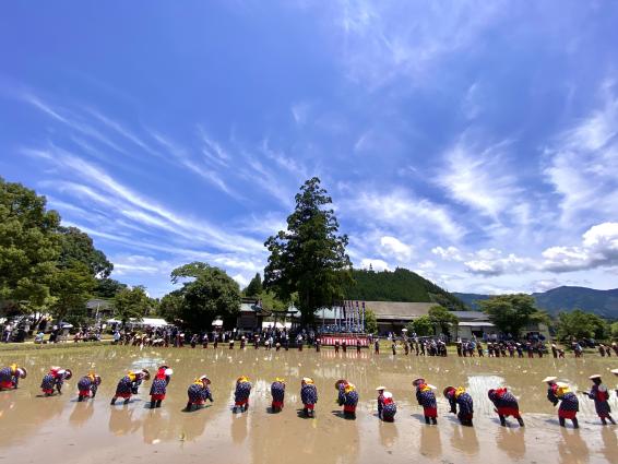 【終了】御田祭-6