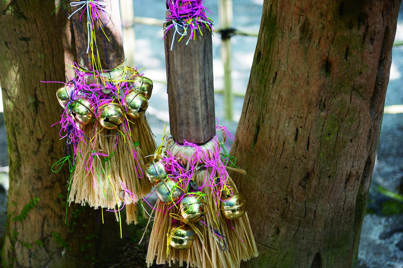 Aoshima Shrine-5