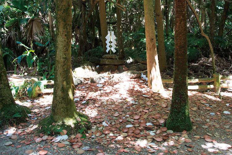Aoshima Shrine-4