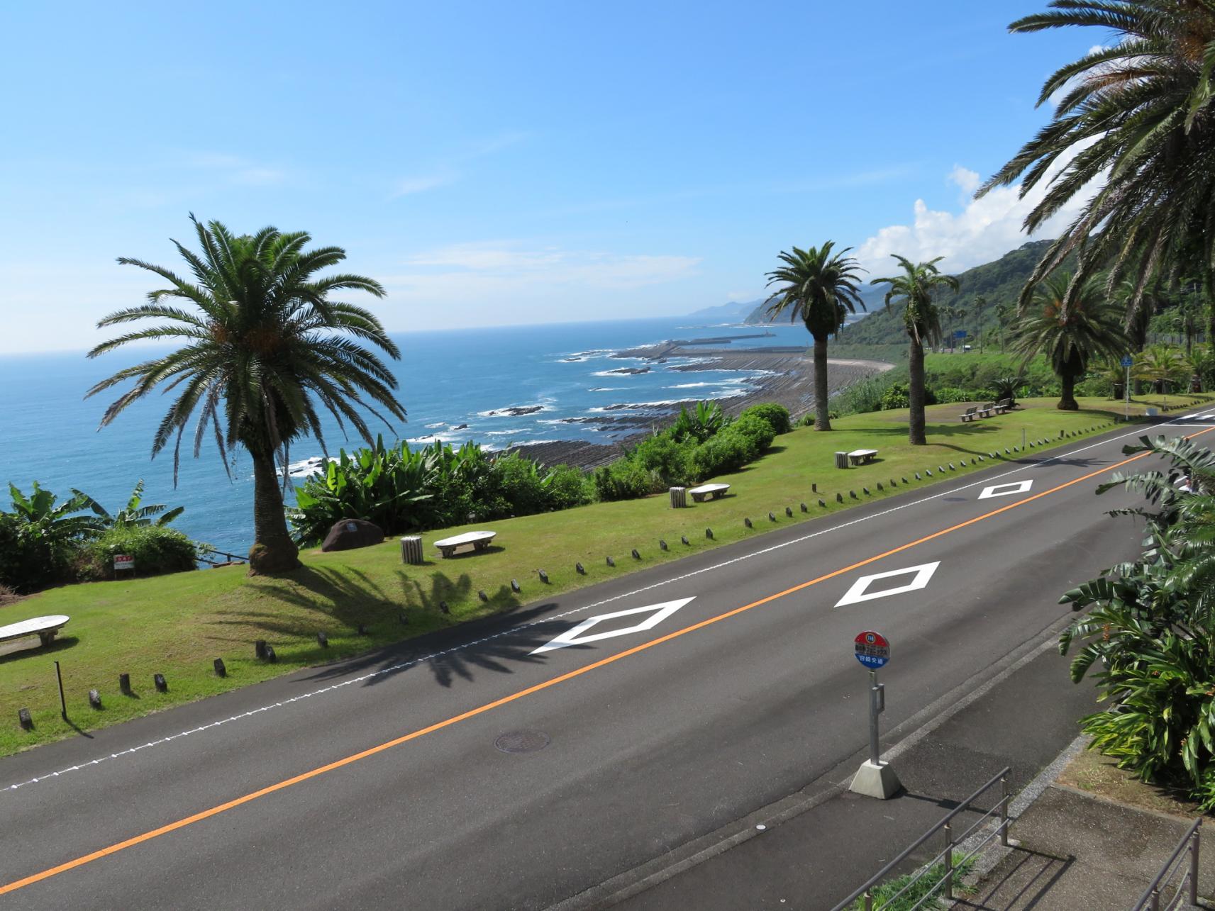 「道の駅」フェニックス-3