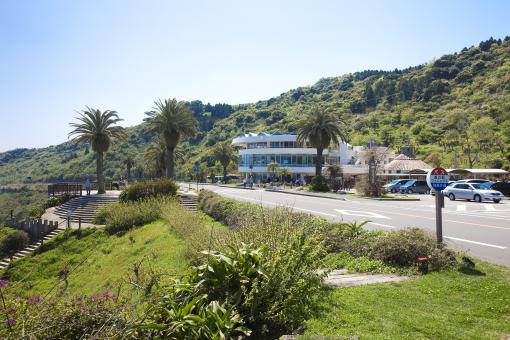 「道の駅」フェニックス-1