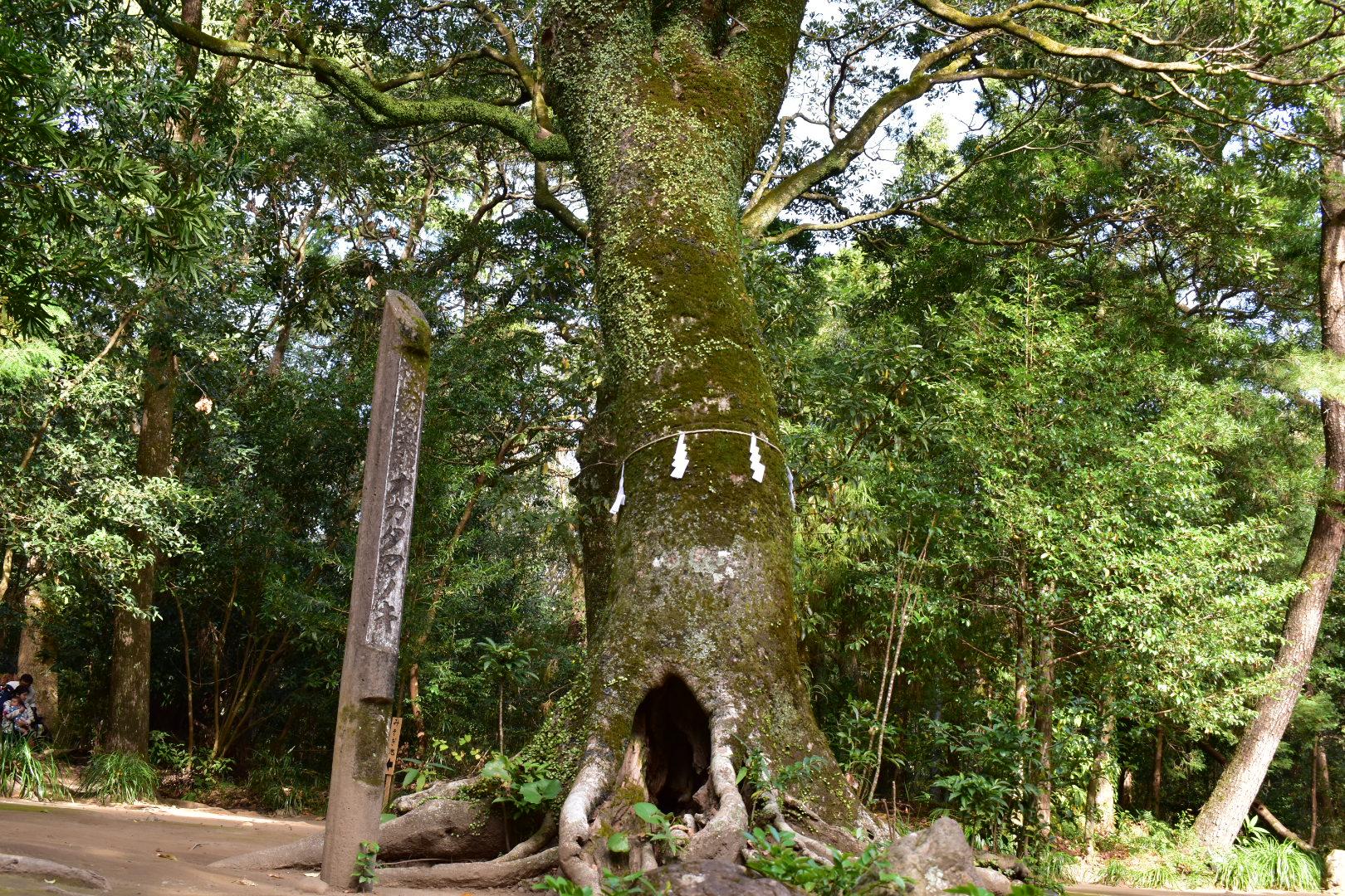 江田神社-3