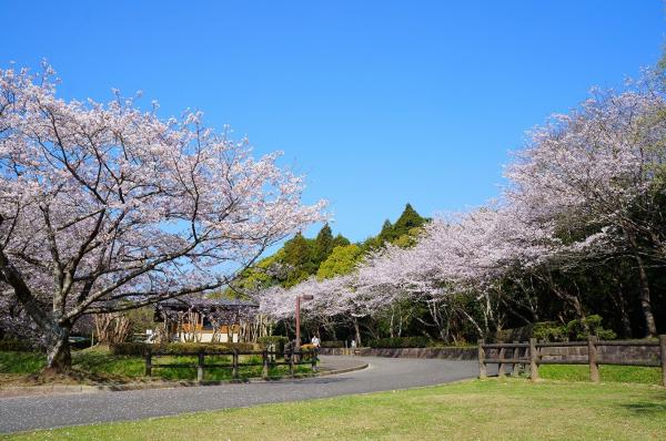 県立平和台公園-9