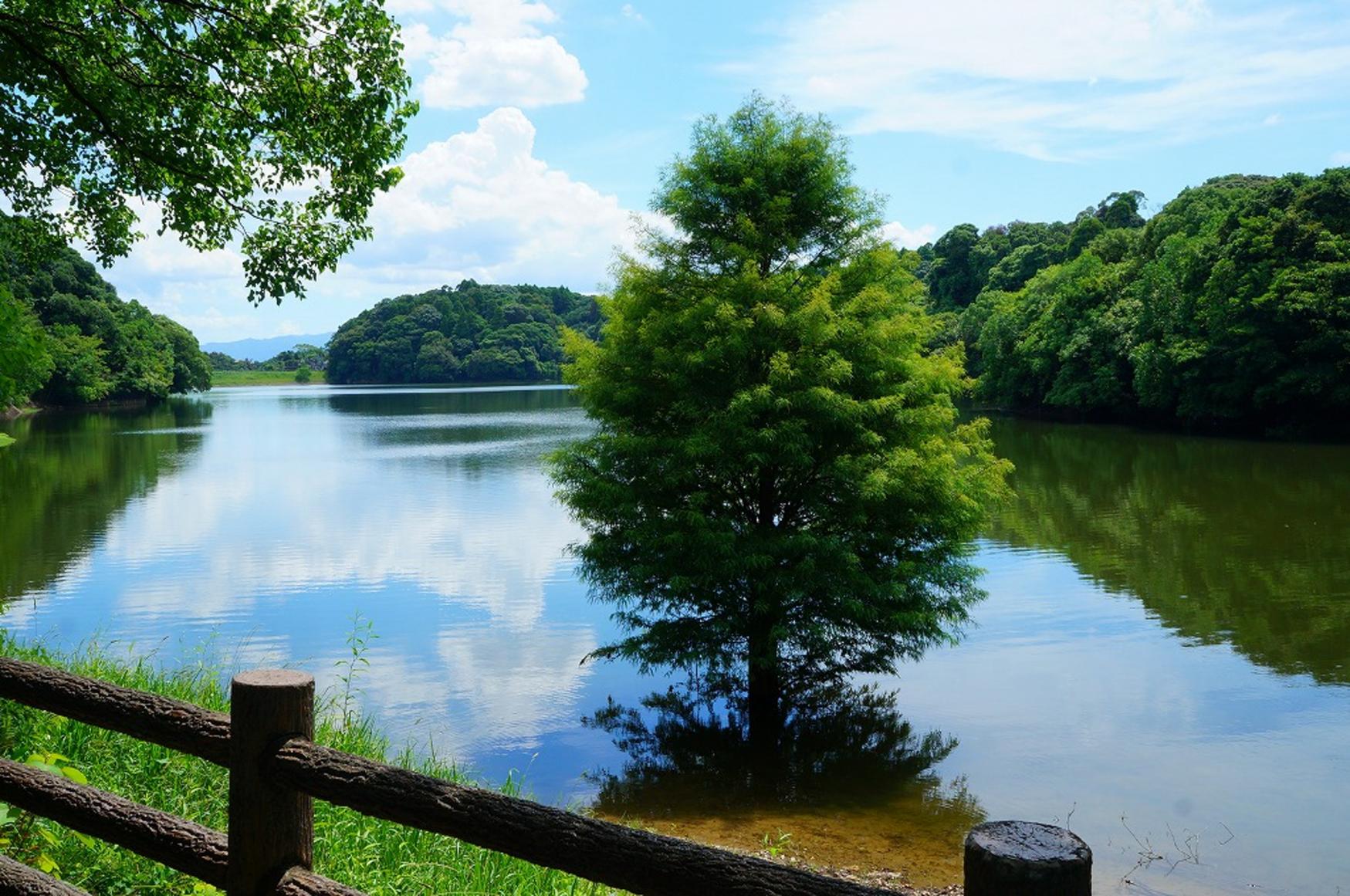 Miyazaki Prefecture Heiwadai Park-4