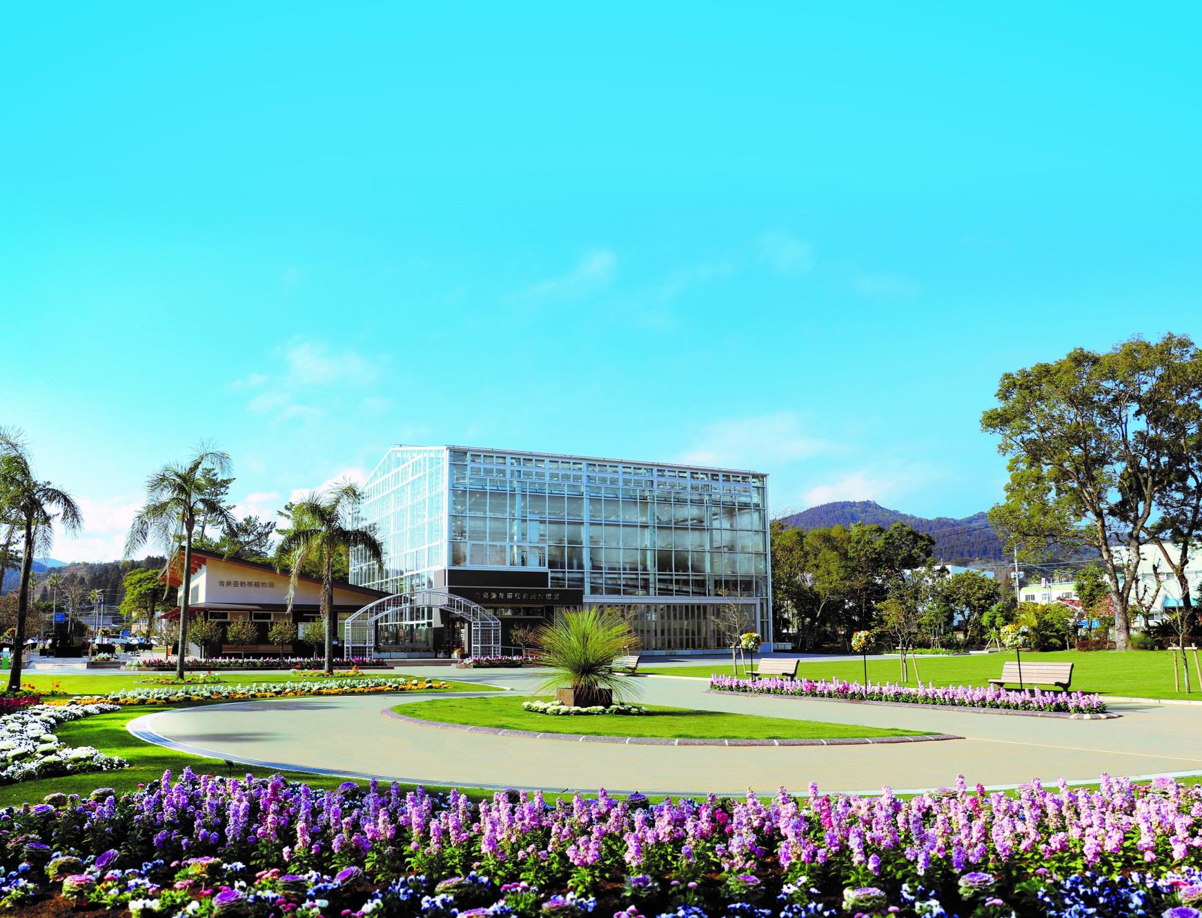 宮交ボタニックガーデン青島（県立青島亜熱帯植物園）-1