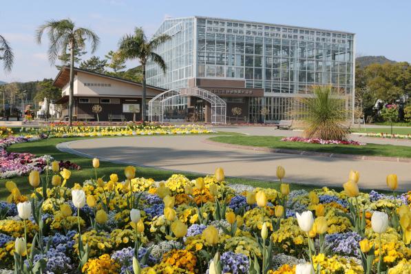 Miyakoh Botanic Garden Aoshima-3