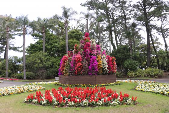 Miyakoh Botanic Garden Aoshima-9