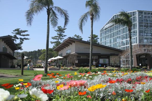 宮交ボタニックガーデン青島（県立青島亜熱帯植物園）-7