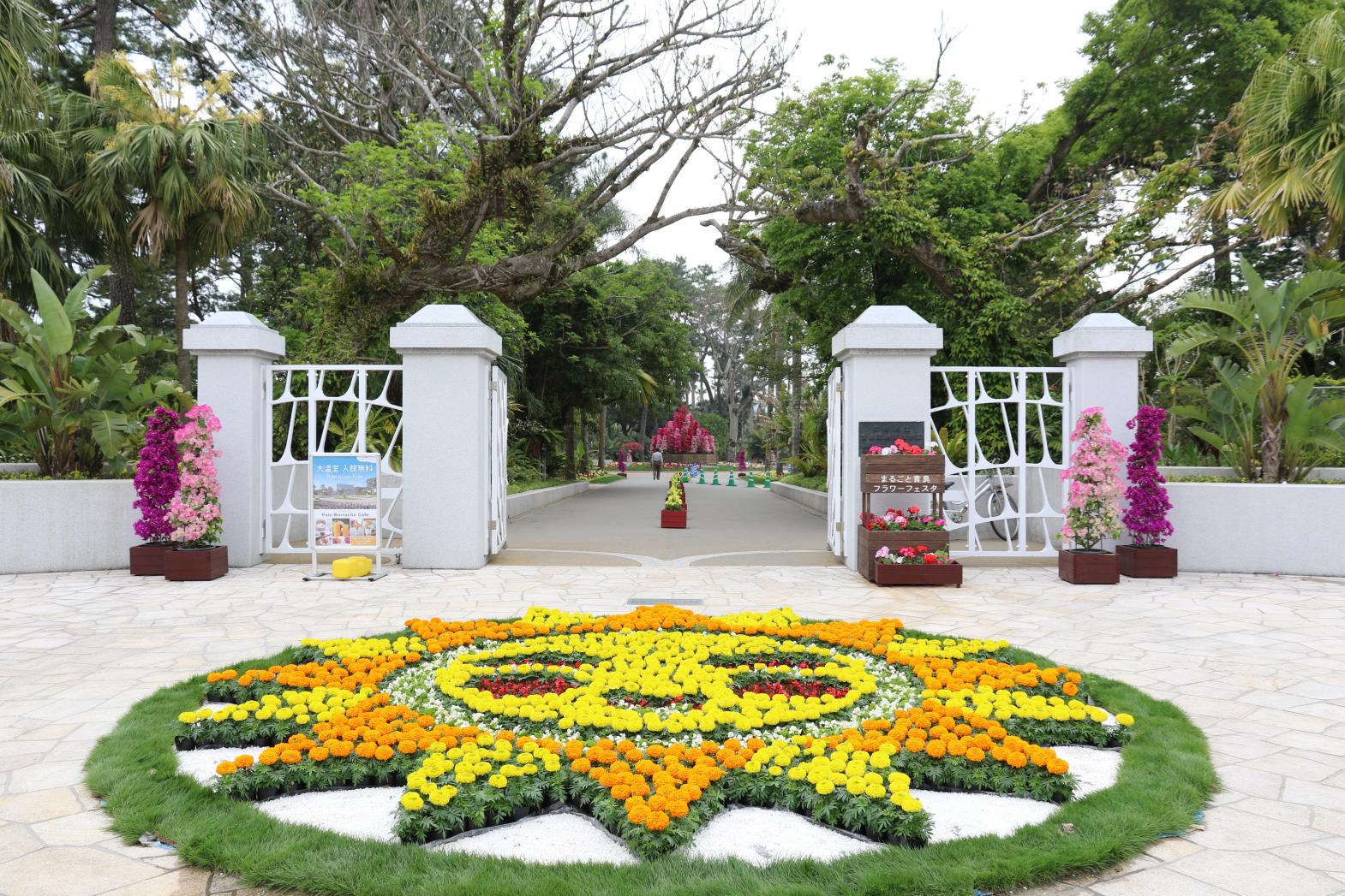 Miyakoh Botanic Garden Aoshima-1
