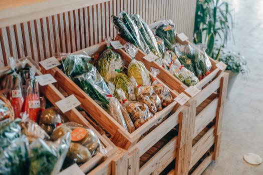 こどものくに（AOSHIMA PICNIC CLUB）-4