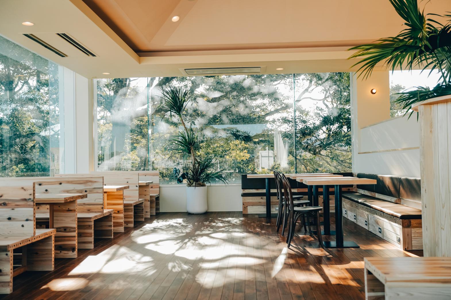 こどものくに（AOSHIMA PICNIC CLUB）-3