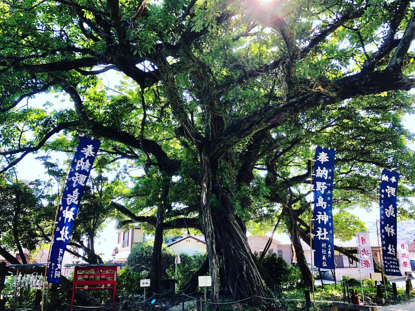 野島神社-4