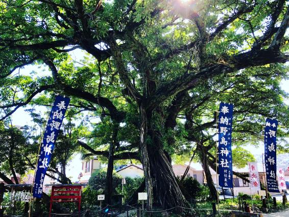 野島神社-4