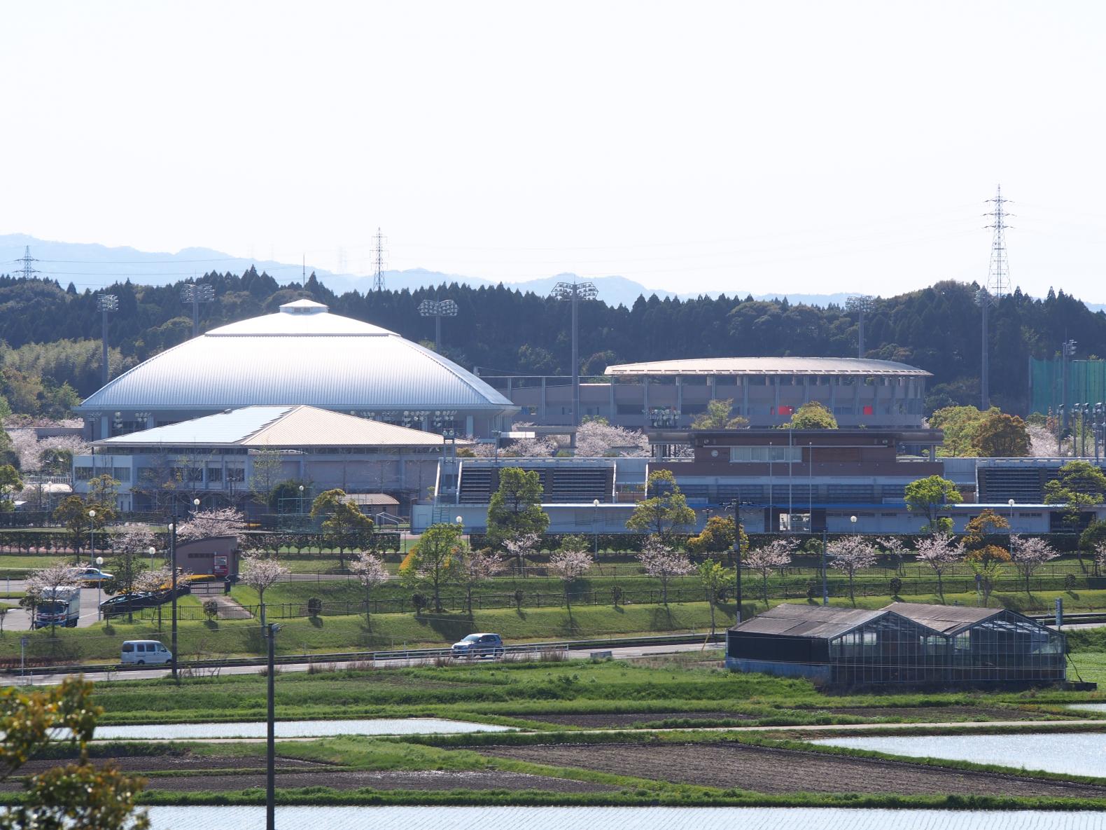 宮崎市生目の杜運動公園-3